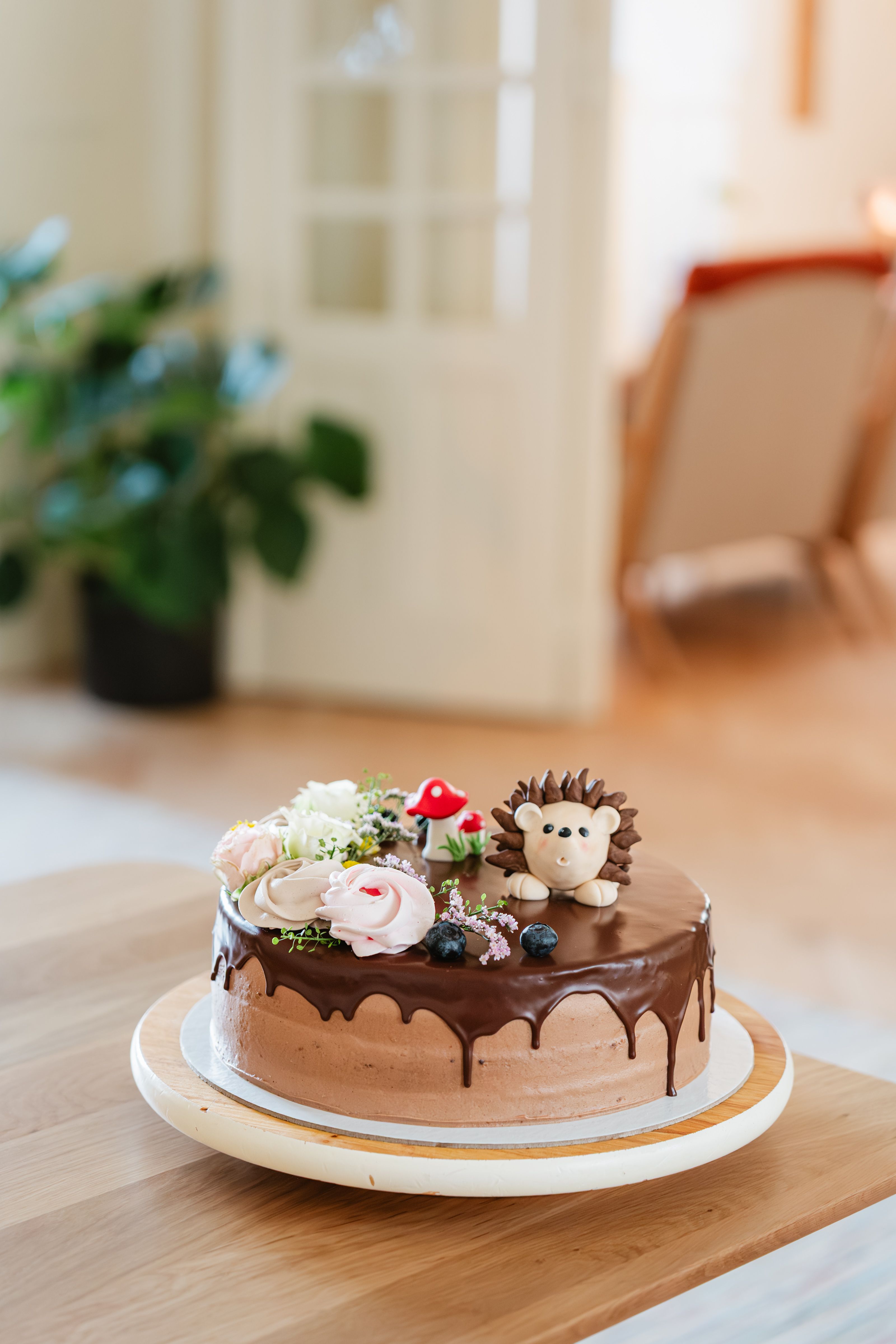 Orechovo-čokoládová torta